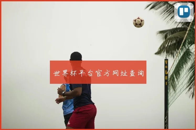 世界杯平台官方网址查询